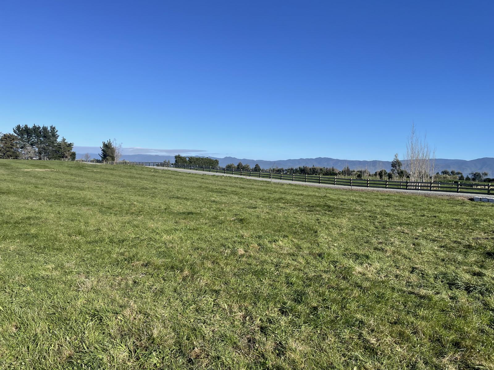 50 Phelps Way, Morisons Bush