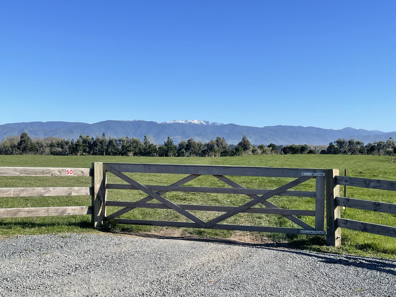 50 Phelps Way, Morisons Bush