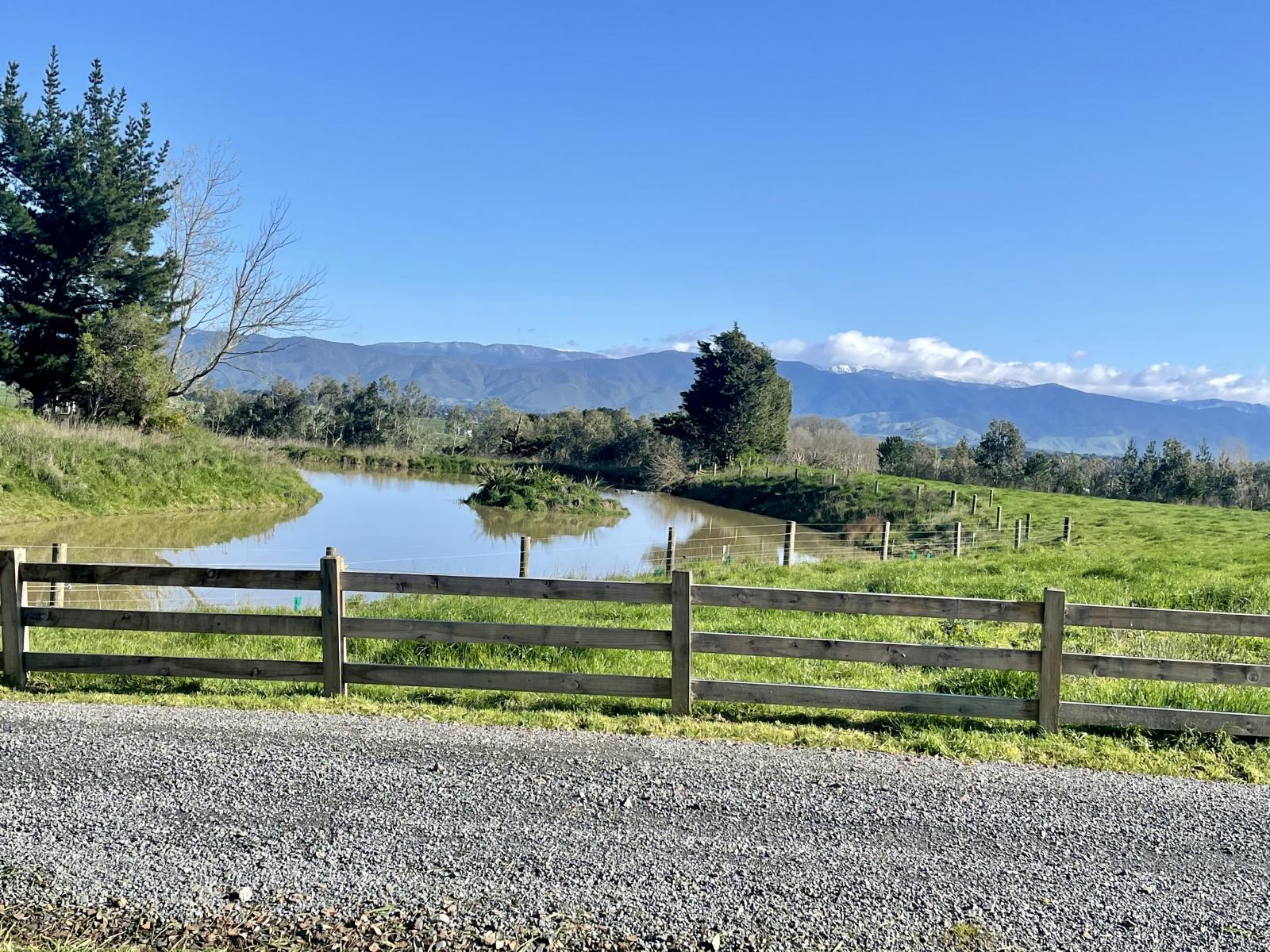 Phelps Way, Morisons Bush