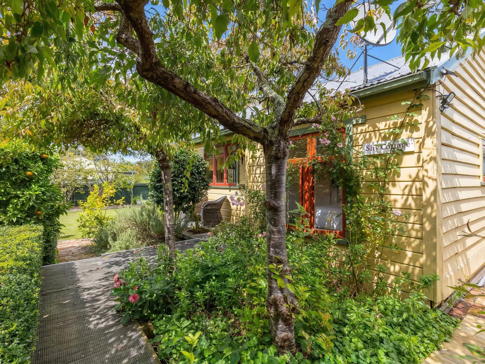 39 Main Street, Greytown
