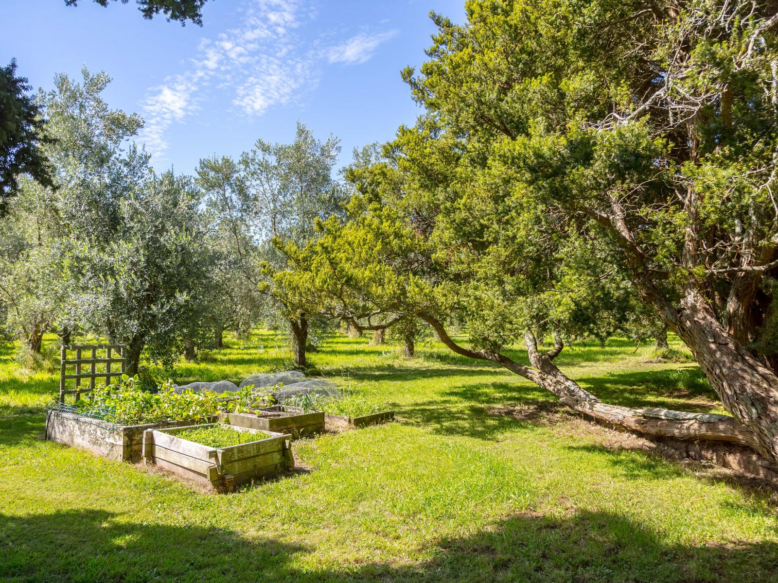 581 Matarawa Road, Carterton