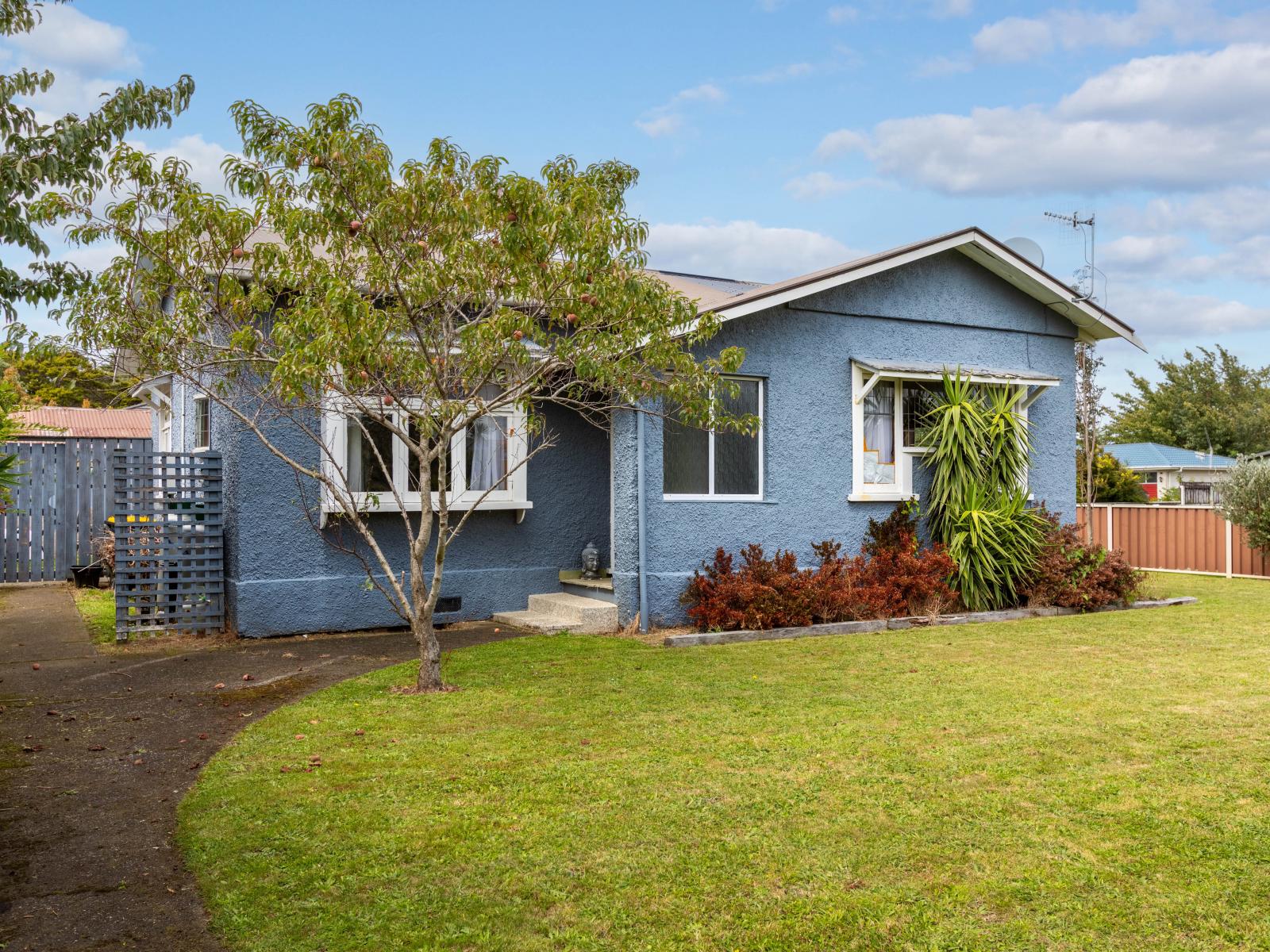 50 Mclean Street, Woodville