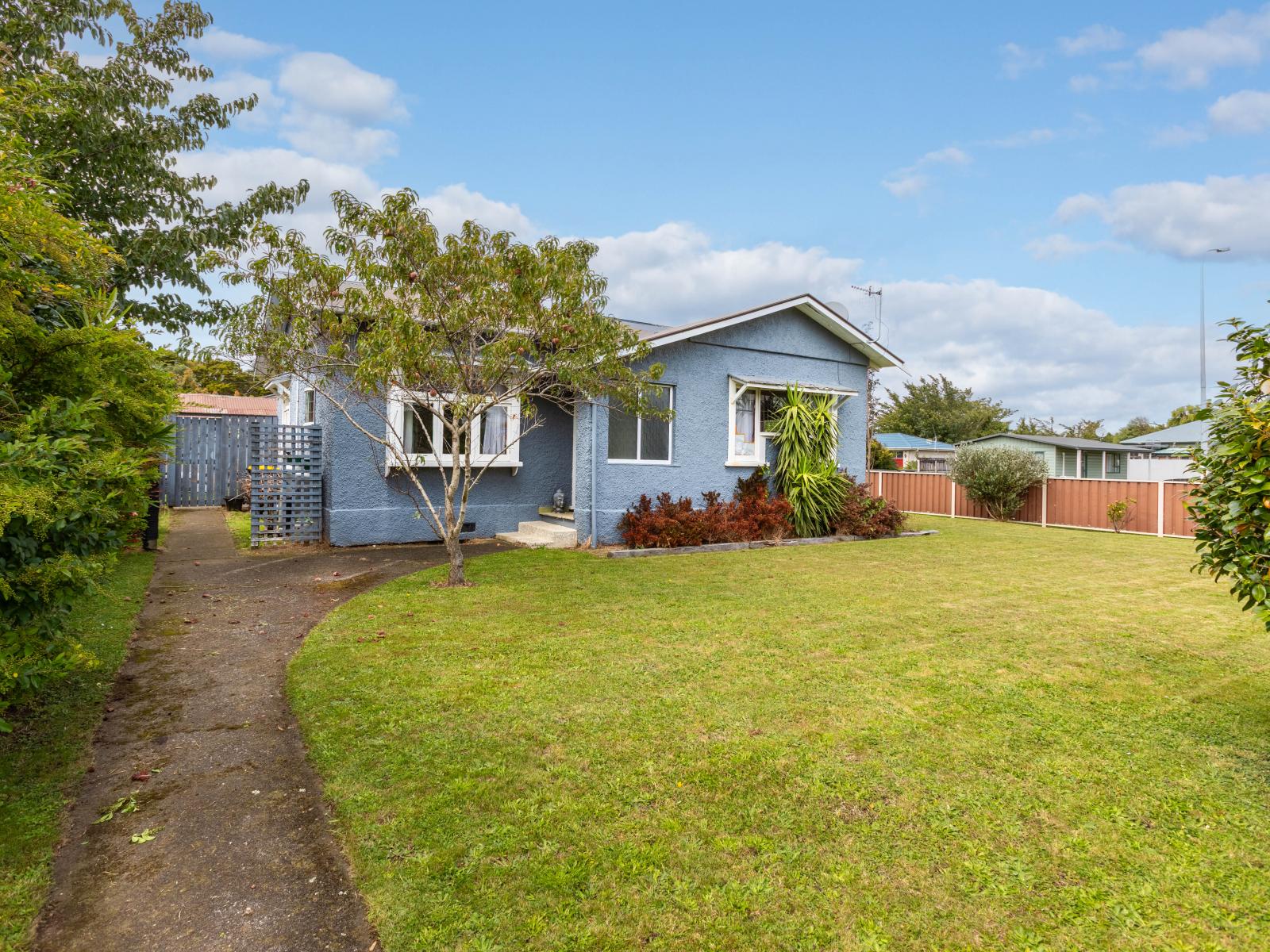 50 Mclean Street, Woodville