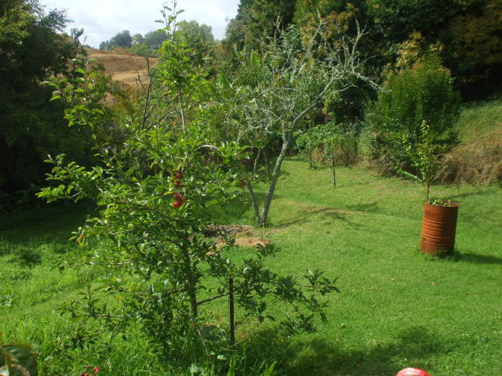 24 Mary Street, Te Kuiti