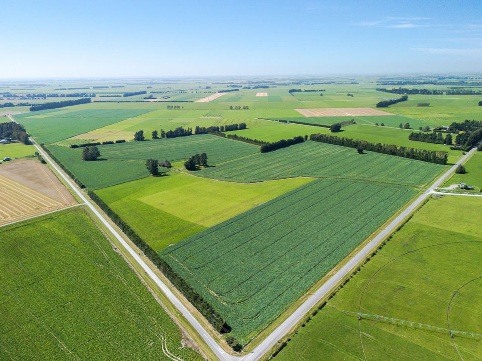 1710 Ealing Montalto Road, Ashburton