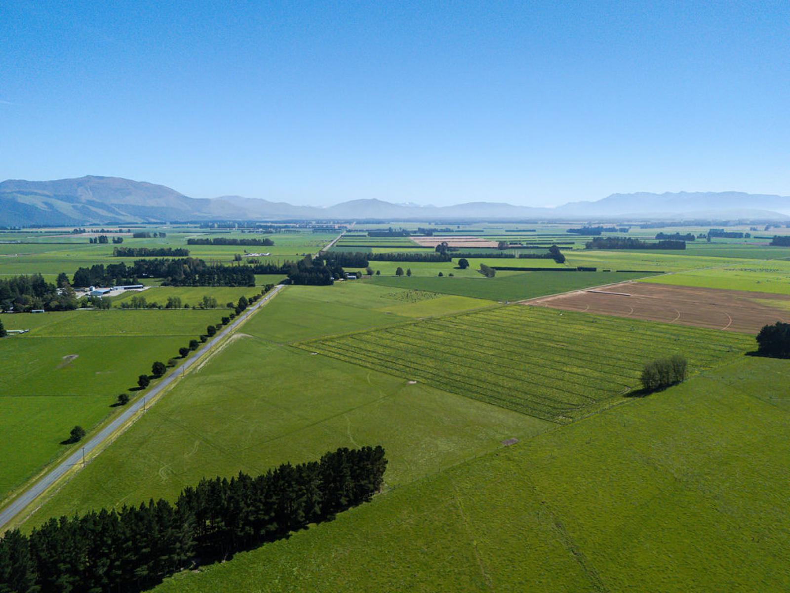 1710 Ealing Montalto Road, Ashburton