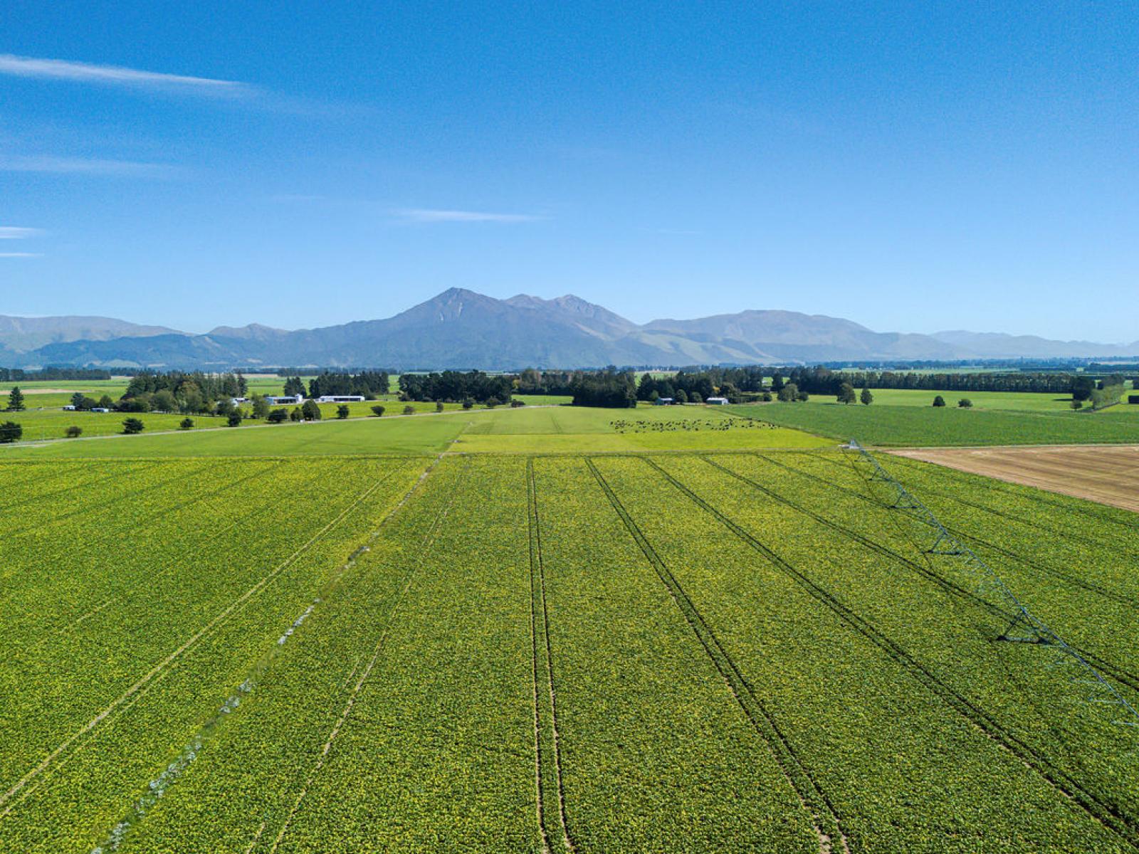 1710 Ealing Montalto Road, Ashburton