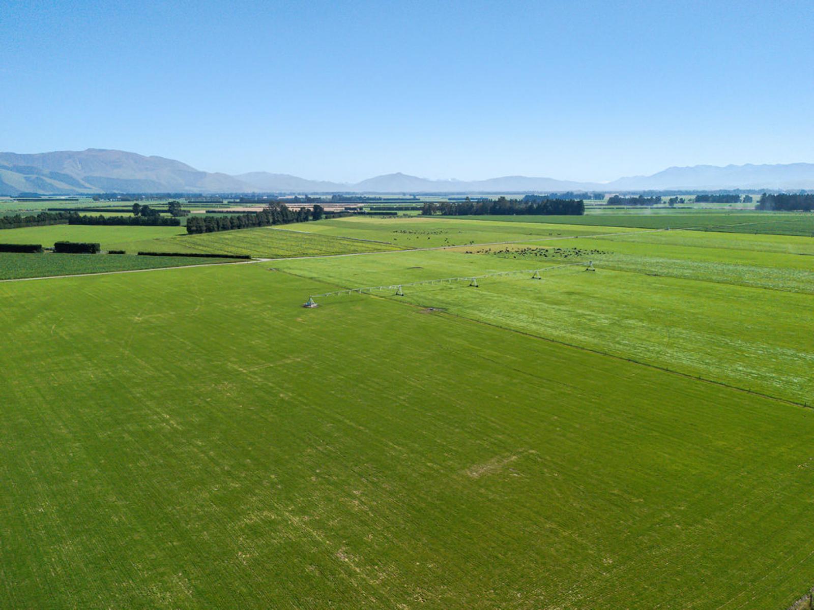 1710 Ealing Montalto Road, Ashburton