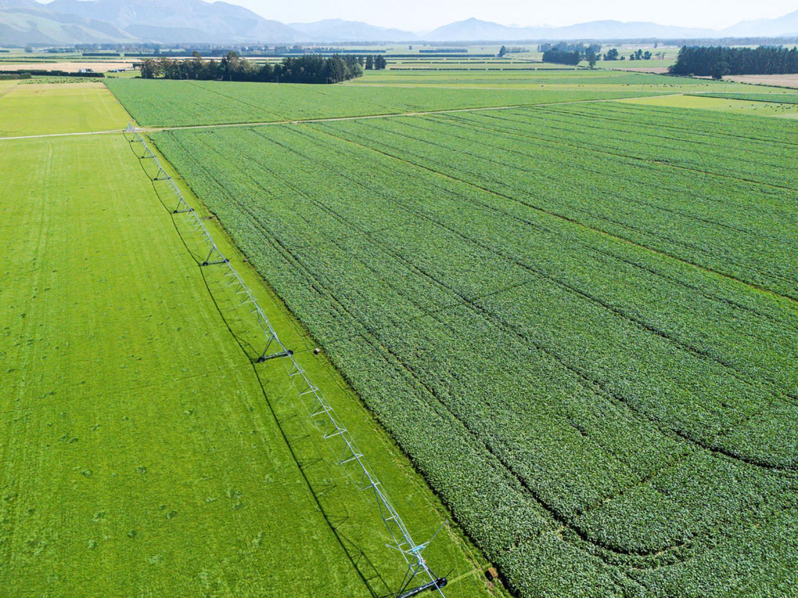 1710 Ealing Montalto Road, Ashburton