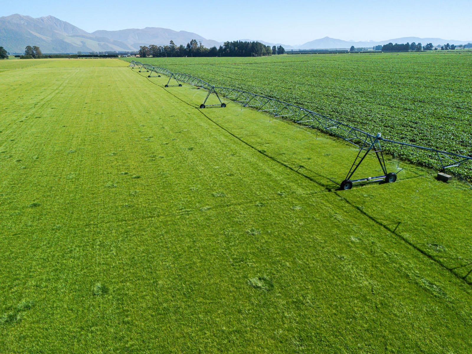 1710 Ealing Montalto Road, Ashburton