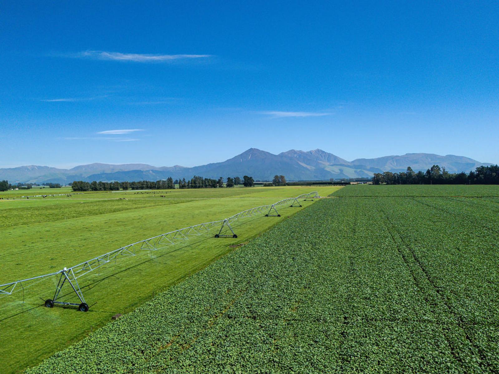 1710 Ealing Montalto Road, Ashburton