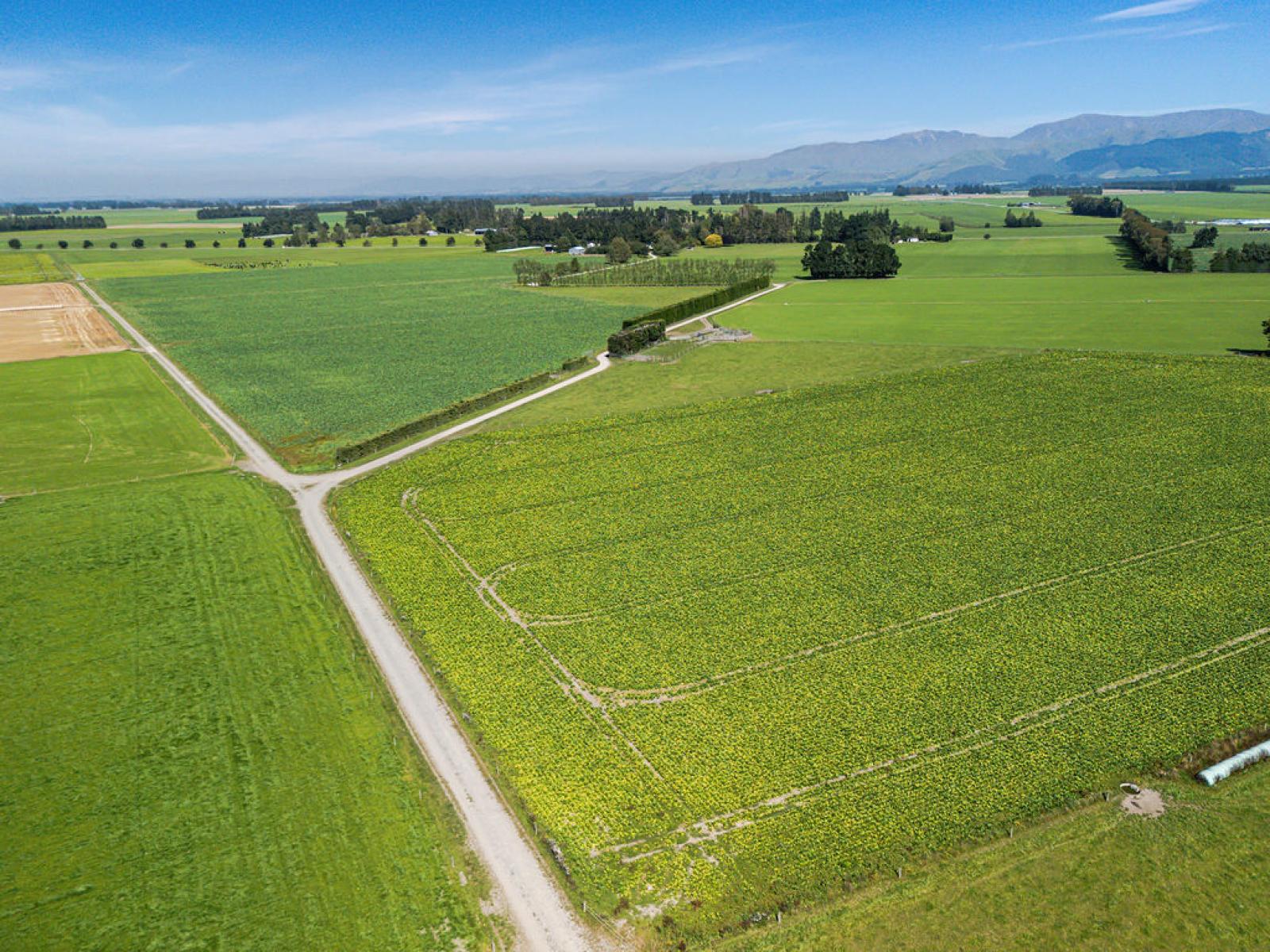 1710 Ealing Montalto Road, Ashburton