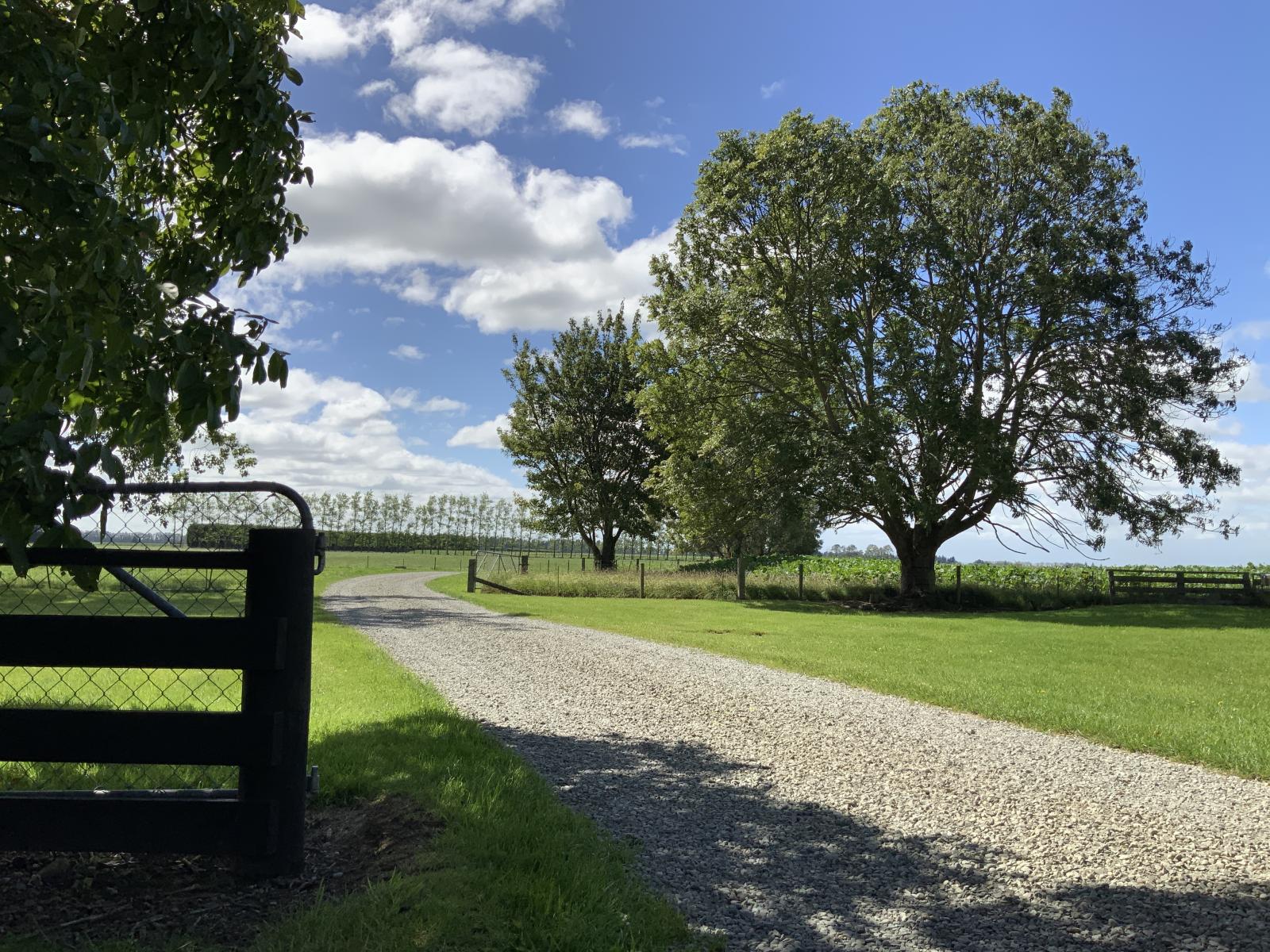 1710 Ealing Montalto Road, Ashburton