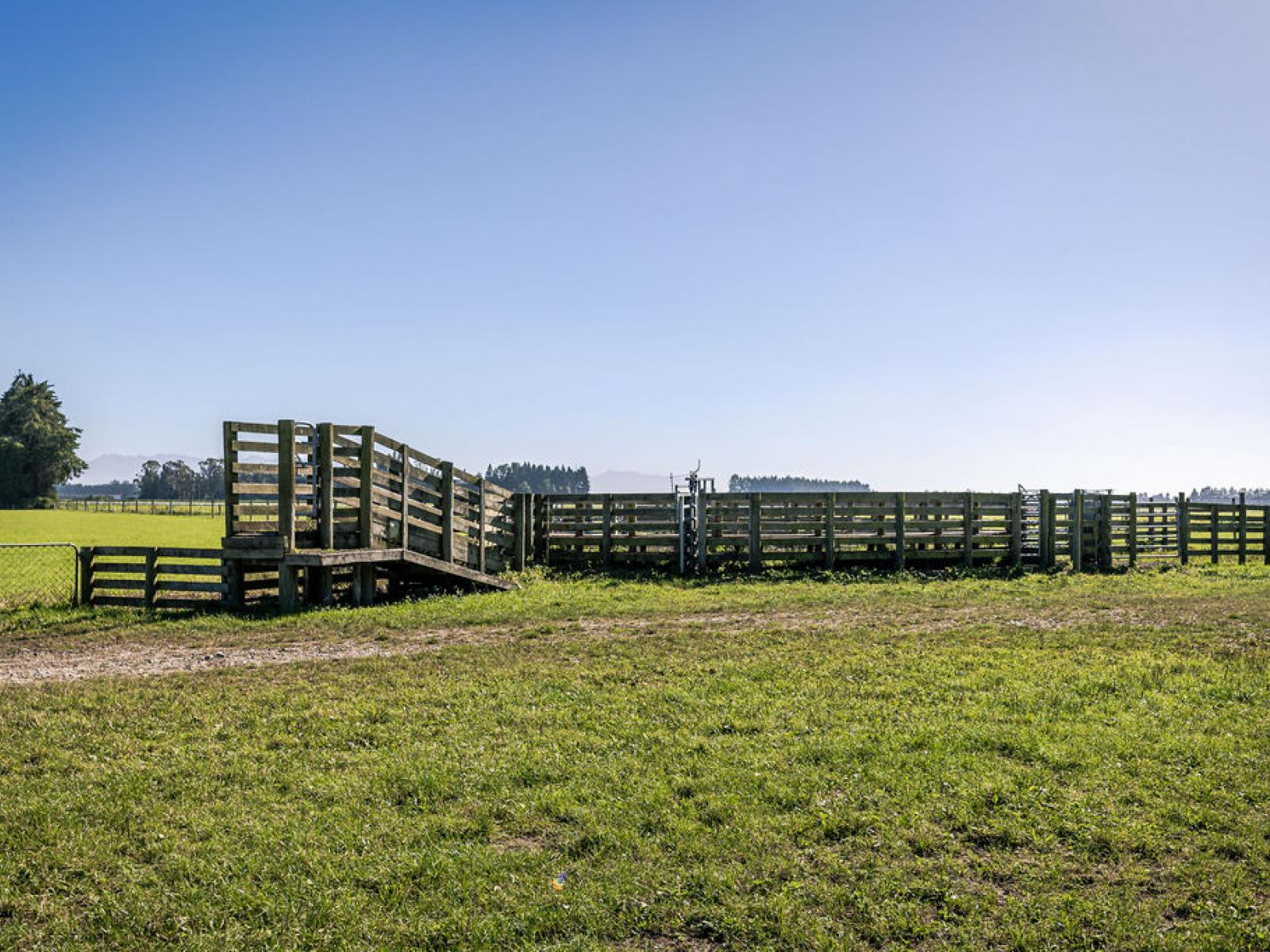 1710 Ealing Montalto Road, Ashburton