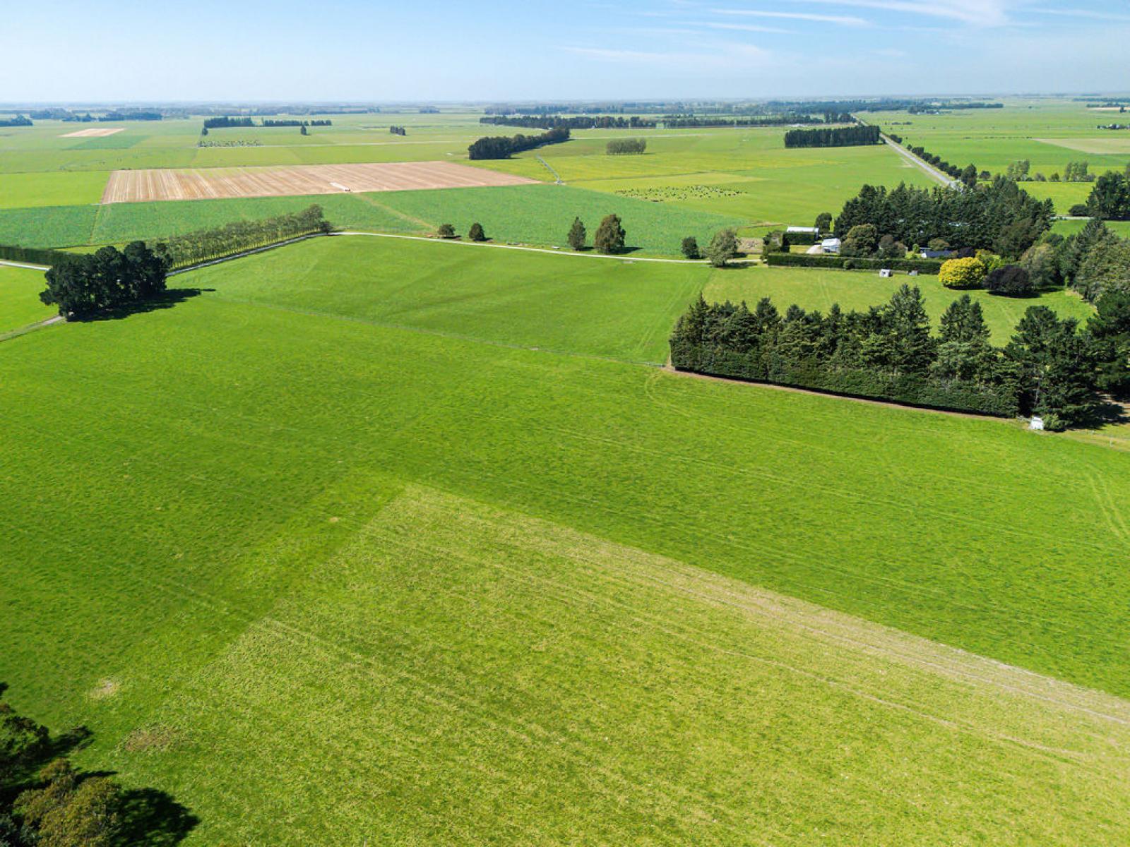 1710 Ealing Montalto Road, Ashburton