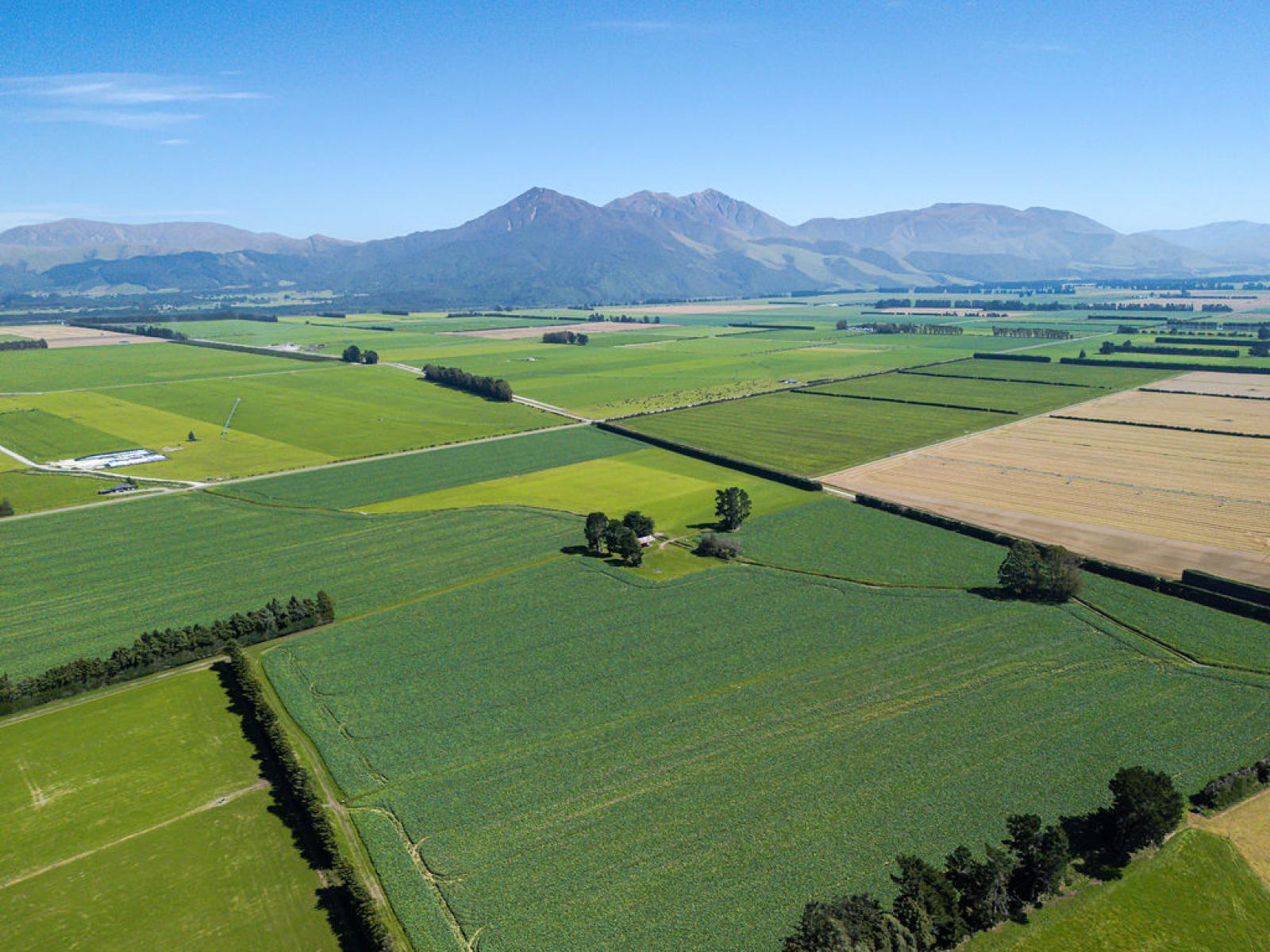 1710 Ealing Montalto Road, Ashburton