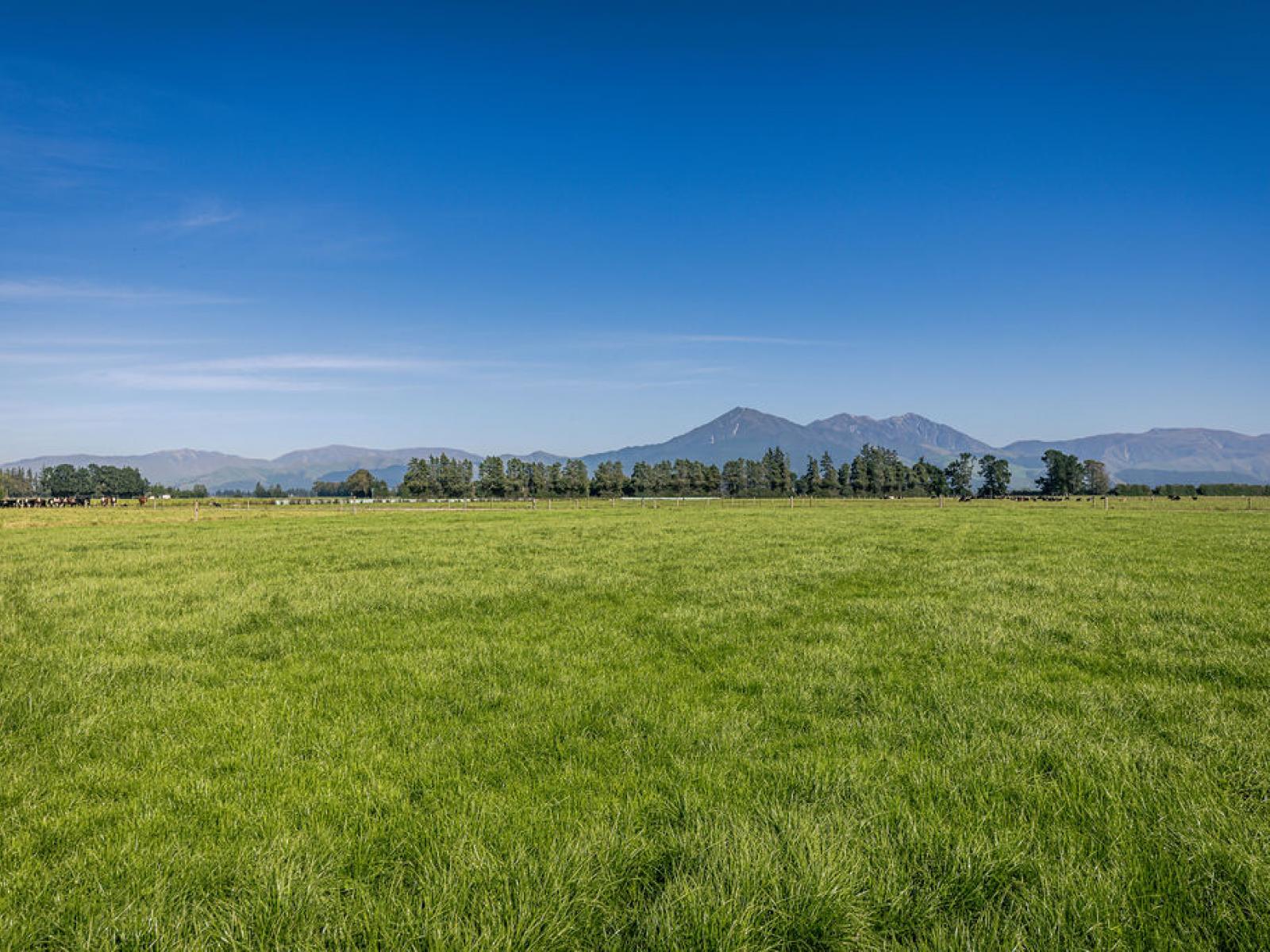 1710 Ealing Montalto Road, Ashburton