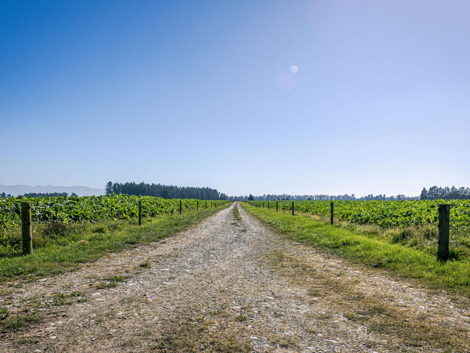 1710 Ealing Montalto Road, Ashburton