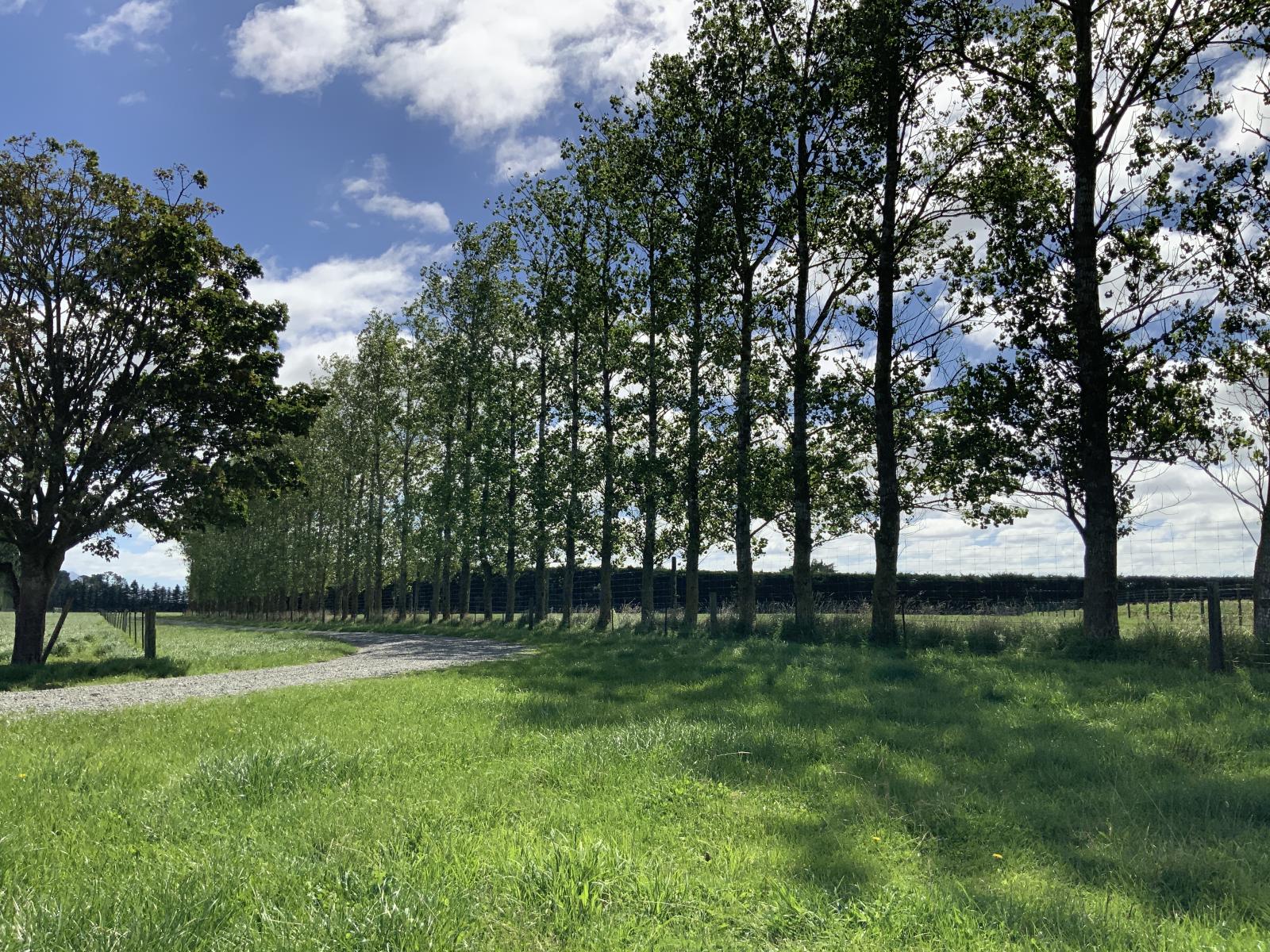 1710 Ealing Montalto Road, Ashburton