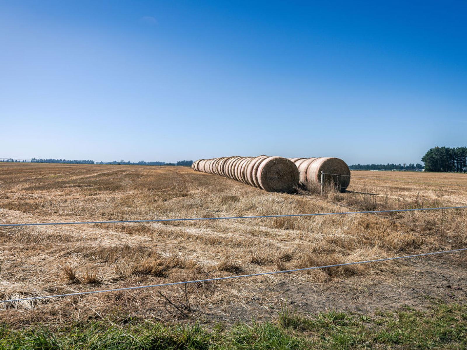 1710 Ealing Montalto Road, Ashburton