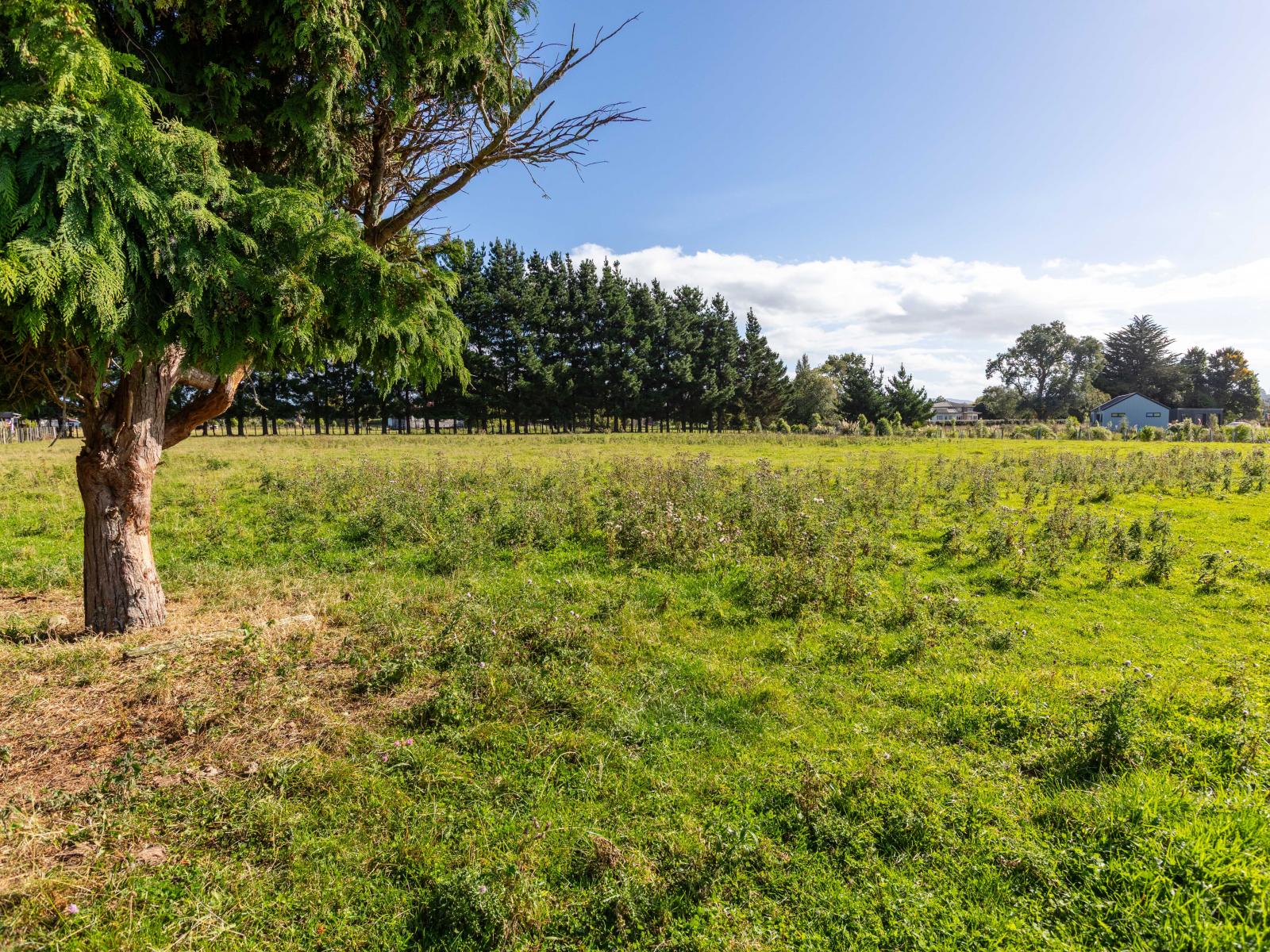 Lot, 5 Horseshoe Lane, Pahiatua