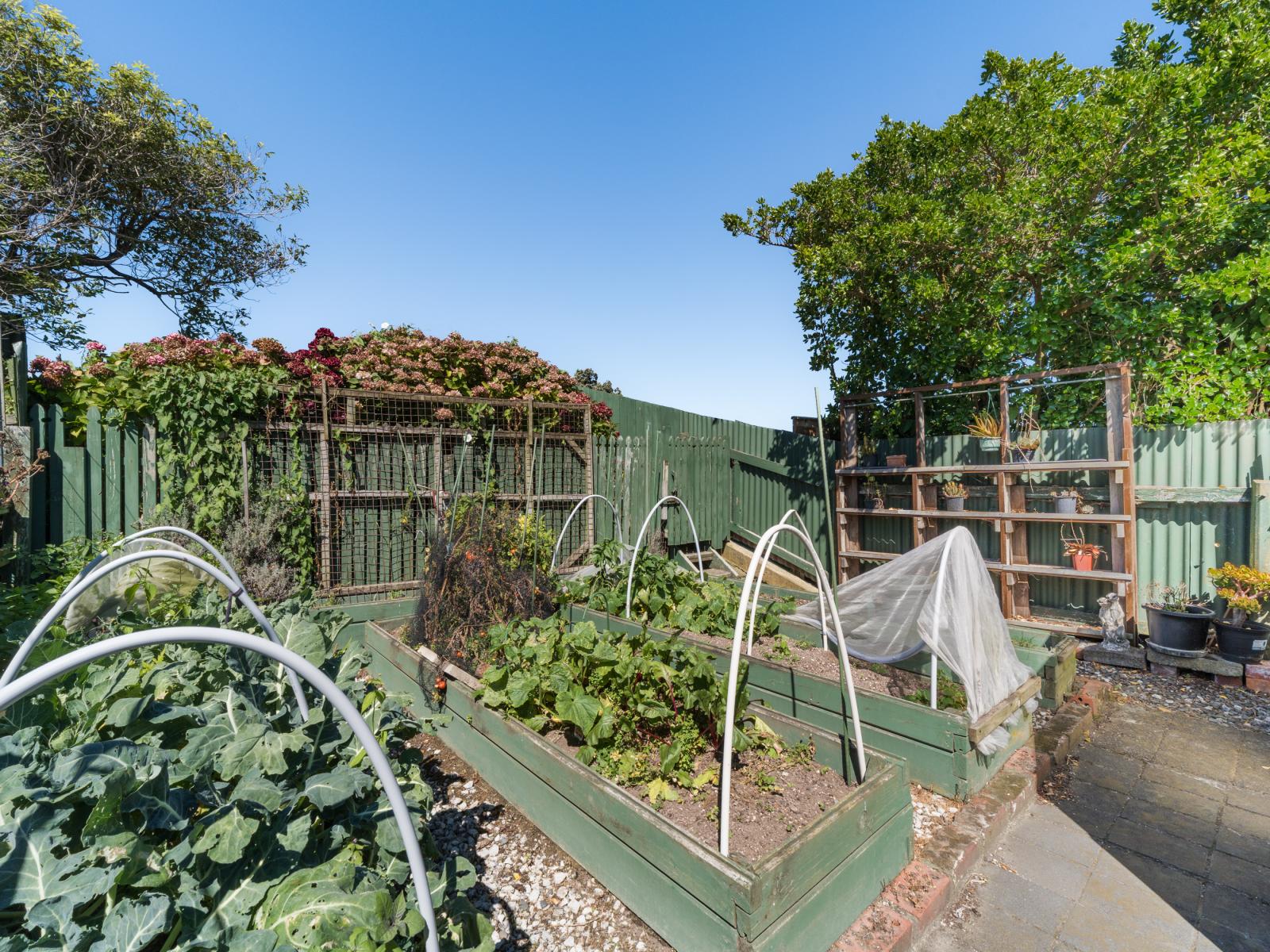 18 Belvedere Crescent, Takaro