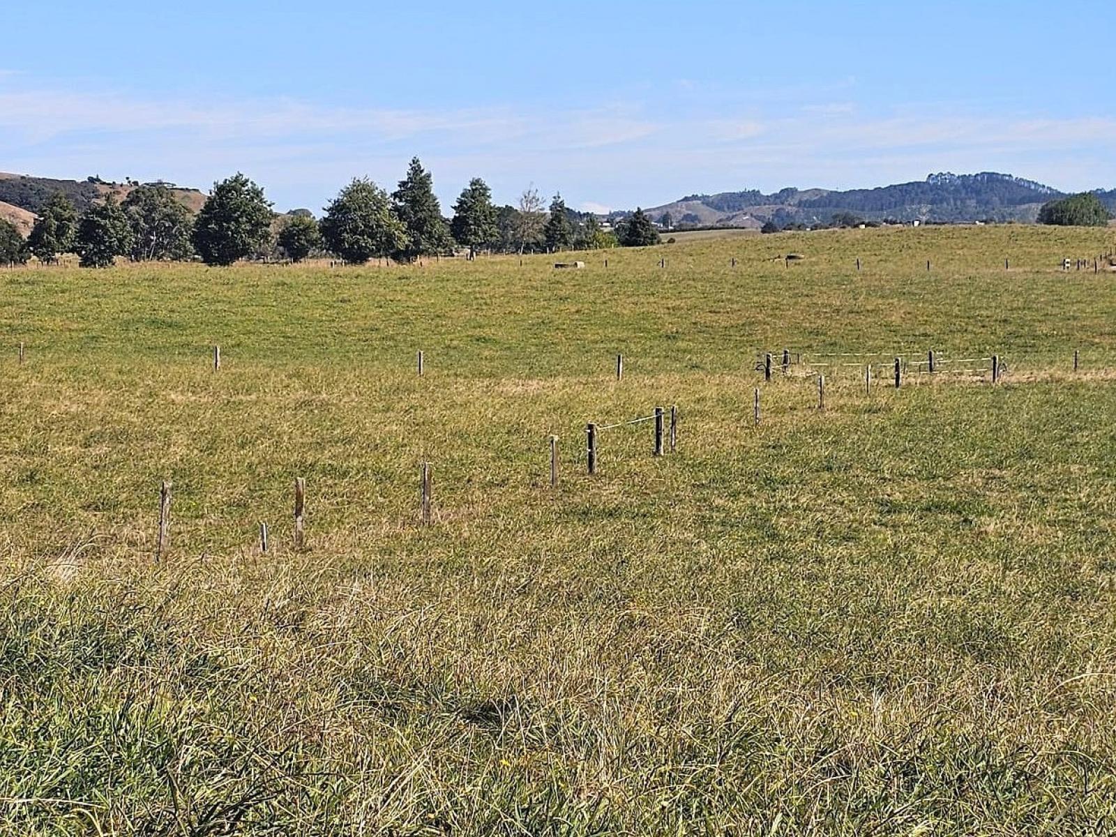 77 Settlers Road, Waerenga