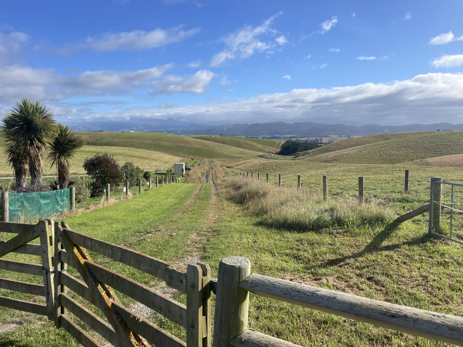 3/220 Taieri Peak Road, Palmerston