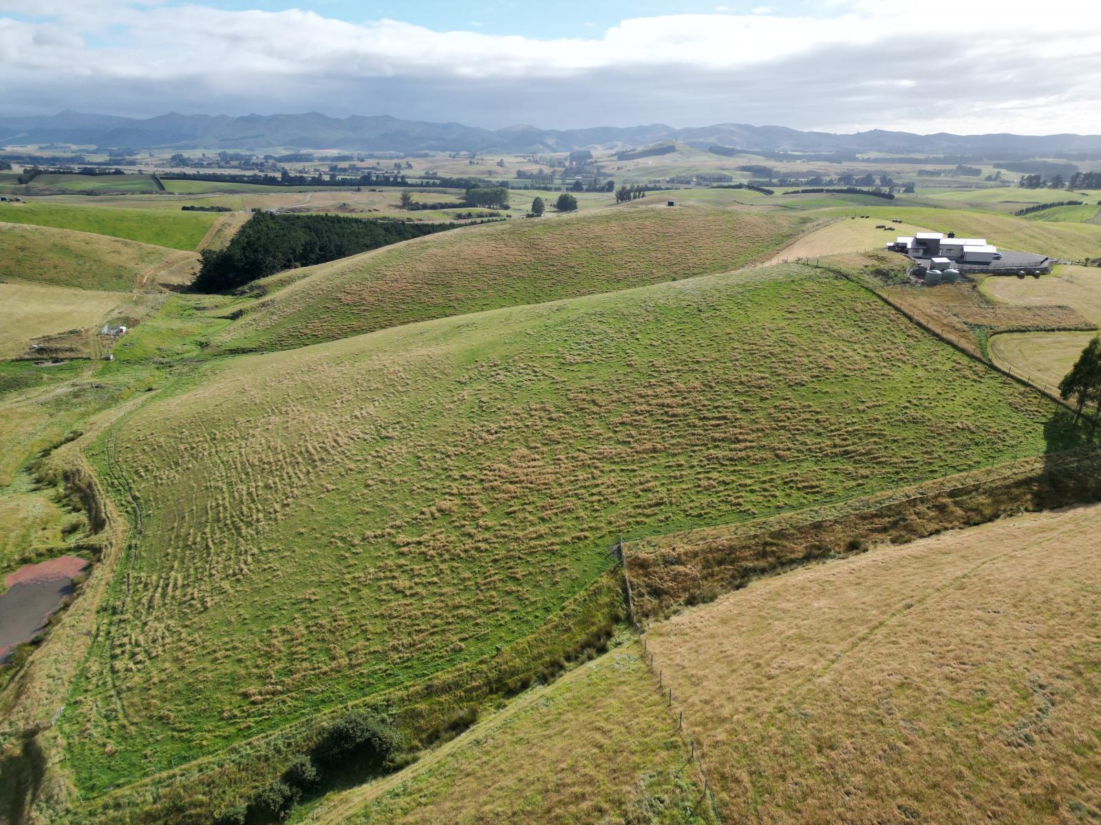 3/220 Taieri Peak Road, Palmerston