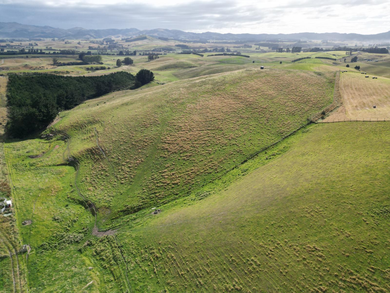 3/220 Taieri Peak Road, Palmerston