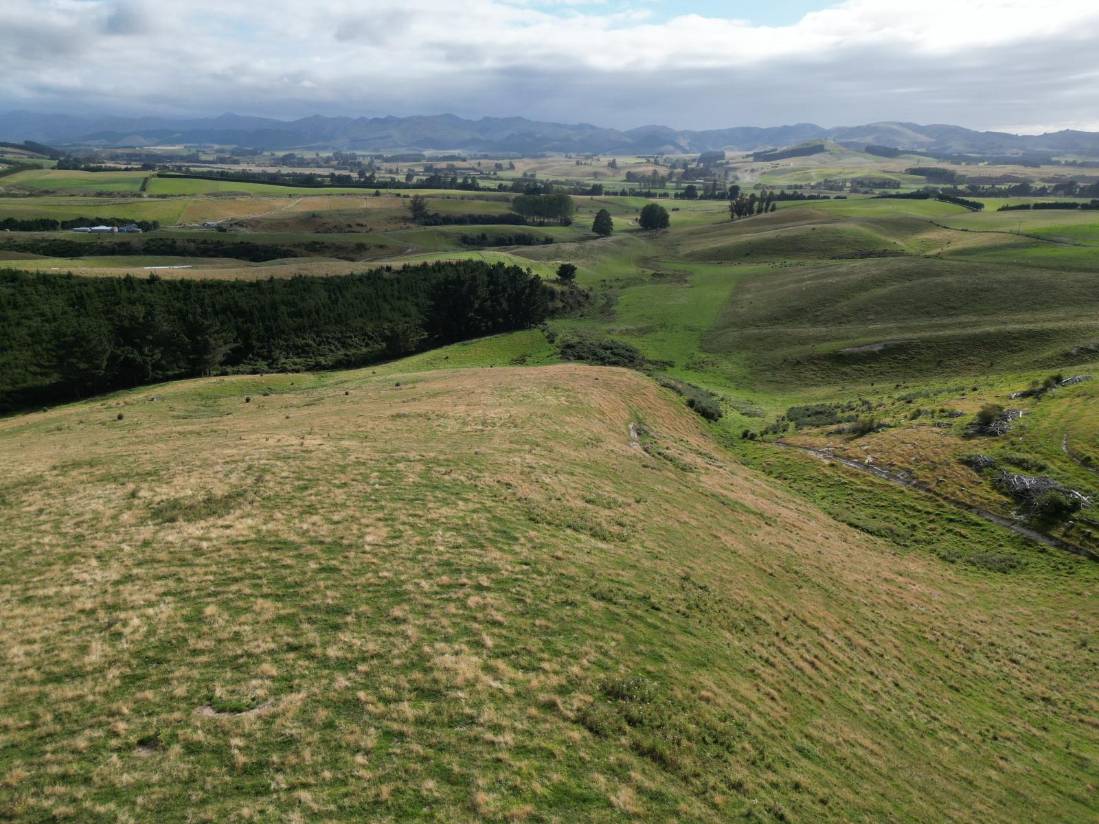 3/220 Taieri Peak Road, Palmerston