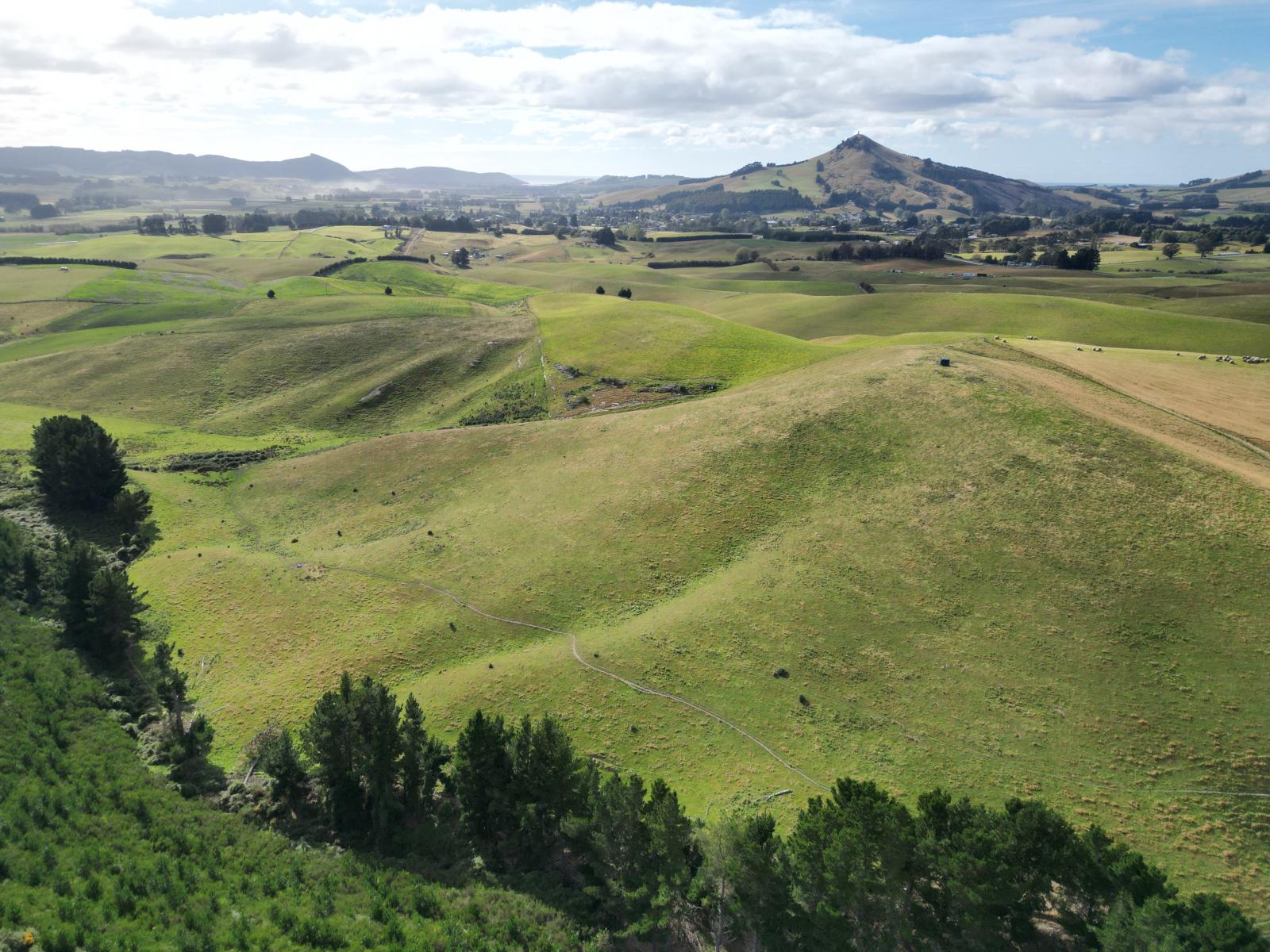 3/220 Taieri Peak Road, Palmerston