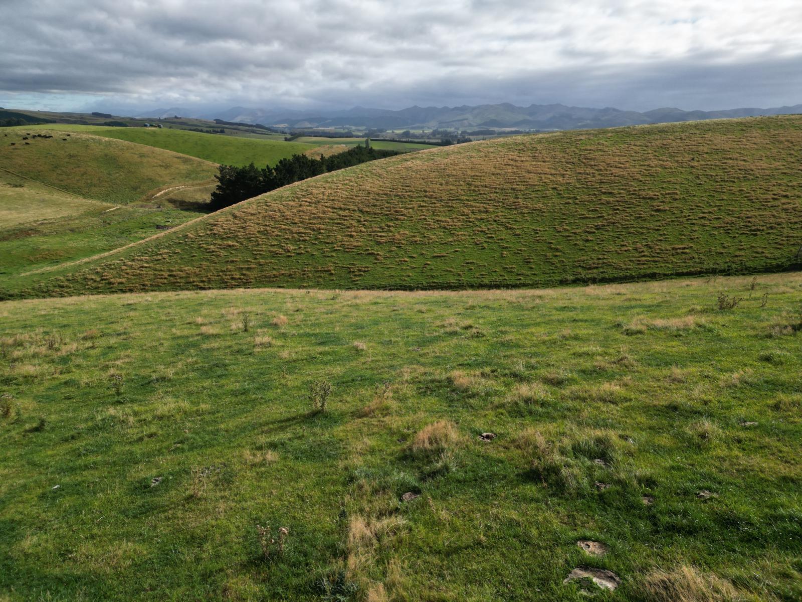 3/220 Taieri Peak Road, Palmerston