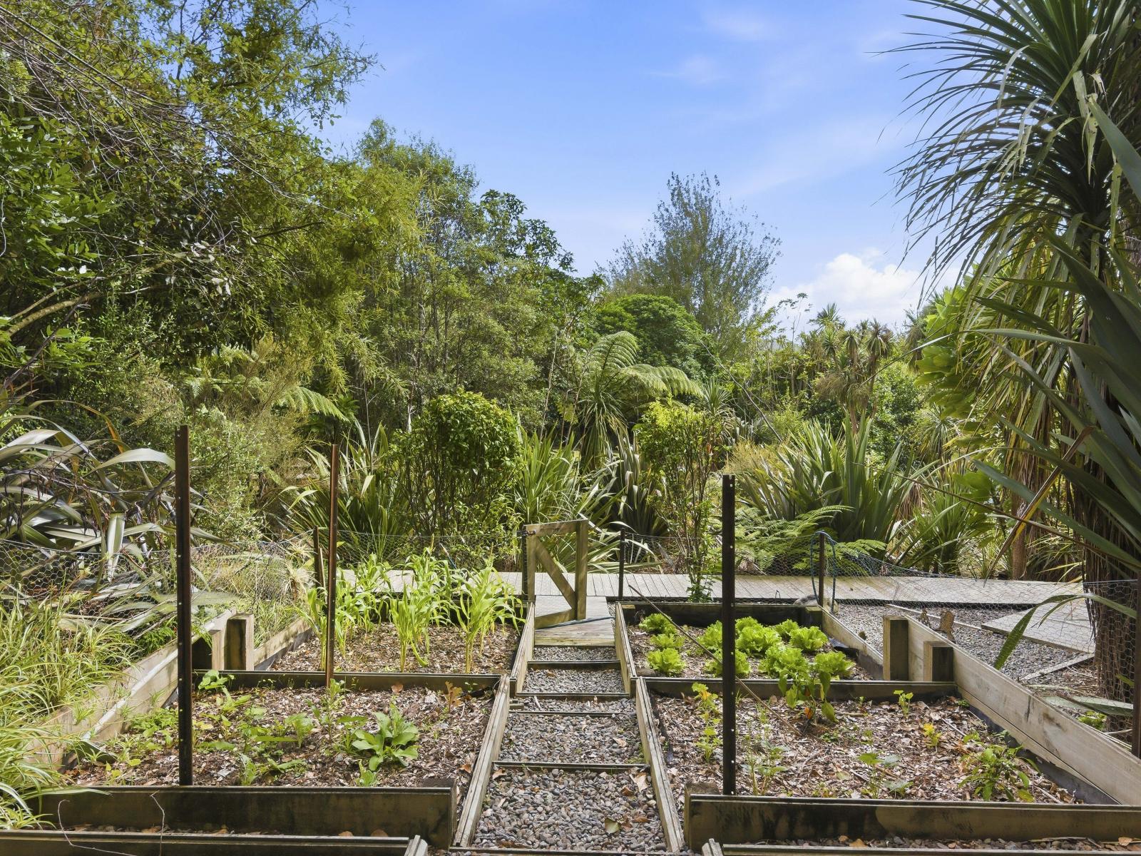 132 Maui Pomare Road, Nikau Valley