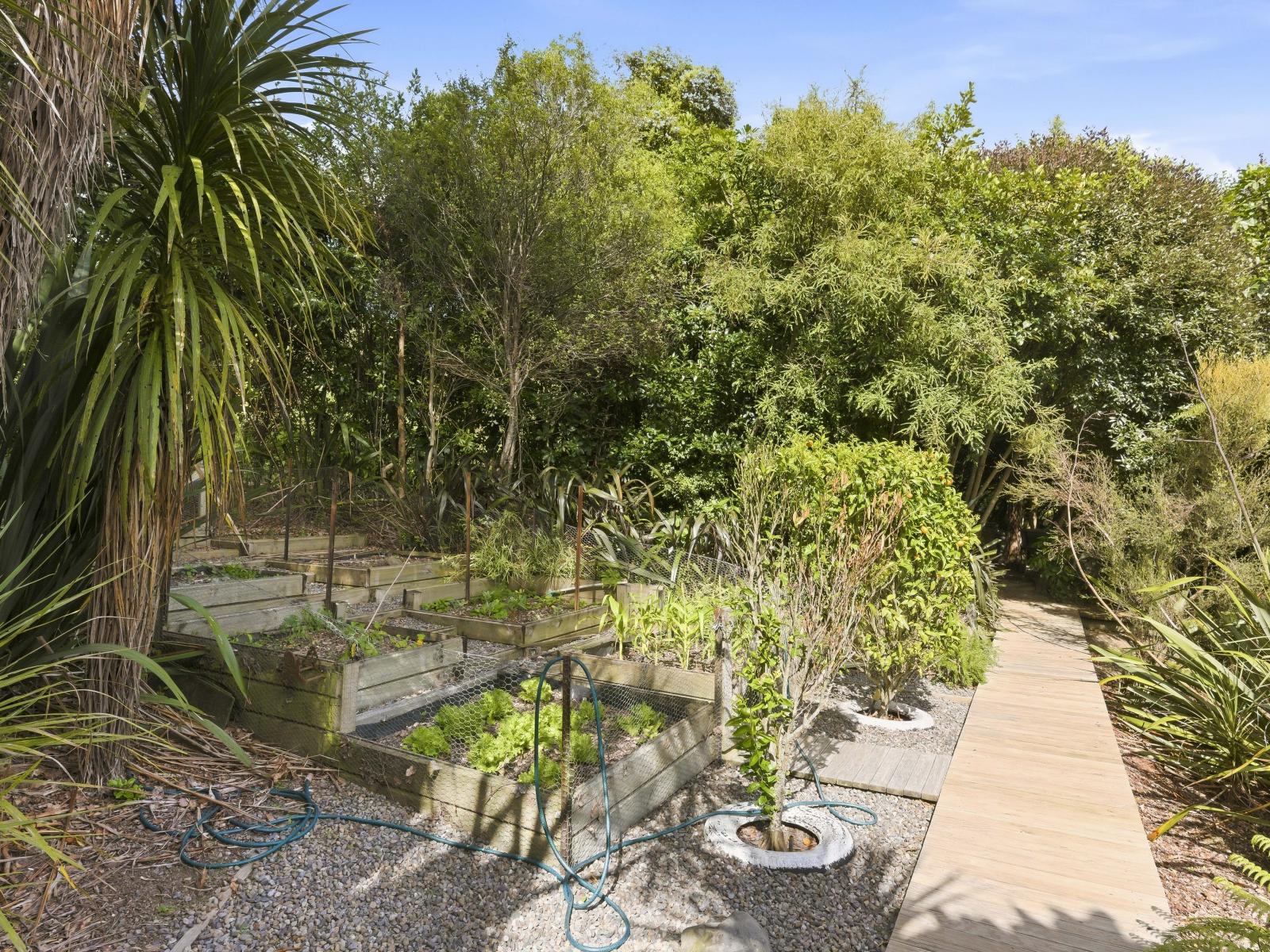 132 Maui Pomare Road, Nikau Valley