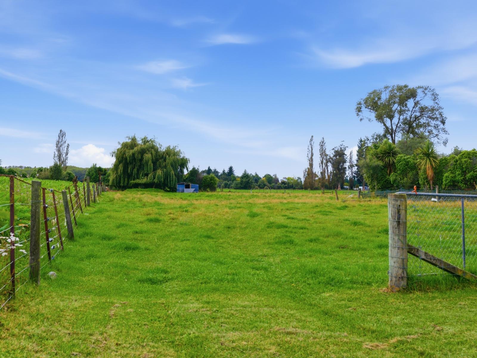 119 Williams Road, Geraldine