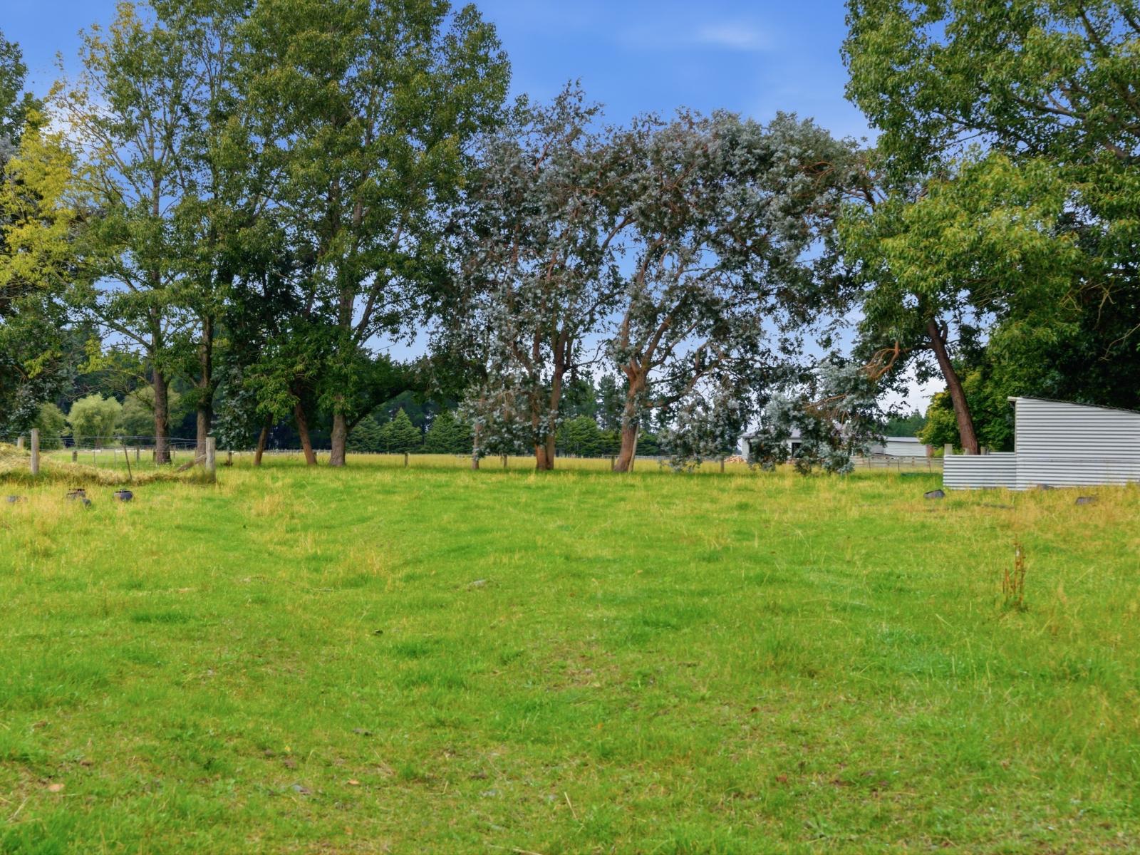 119 Williams Road, Geraldine