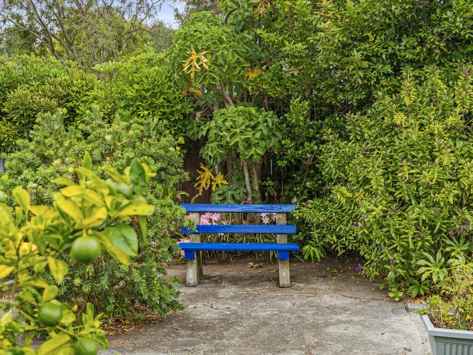 8 Raine Street, Whanganui East