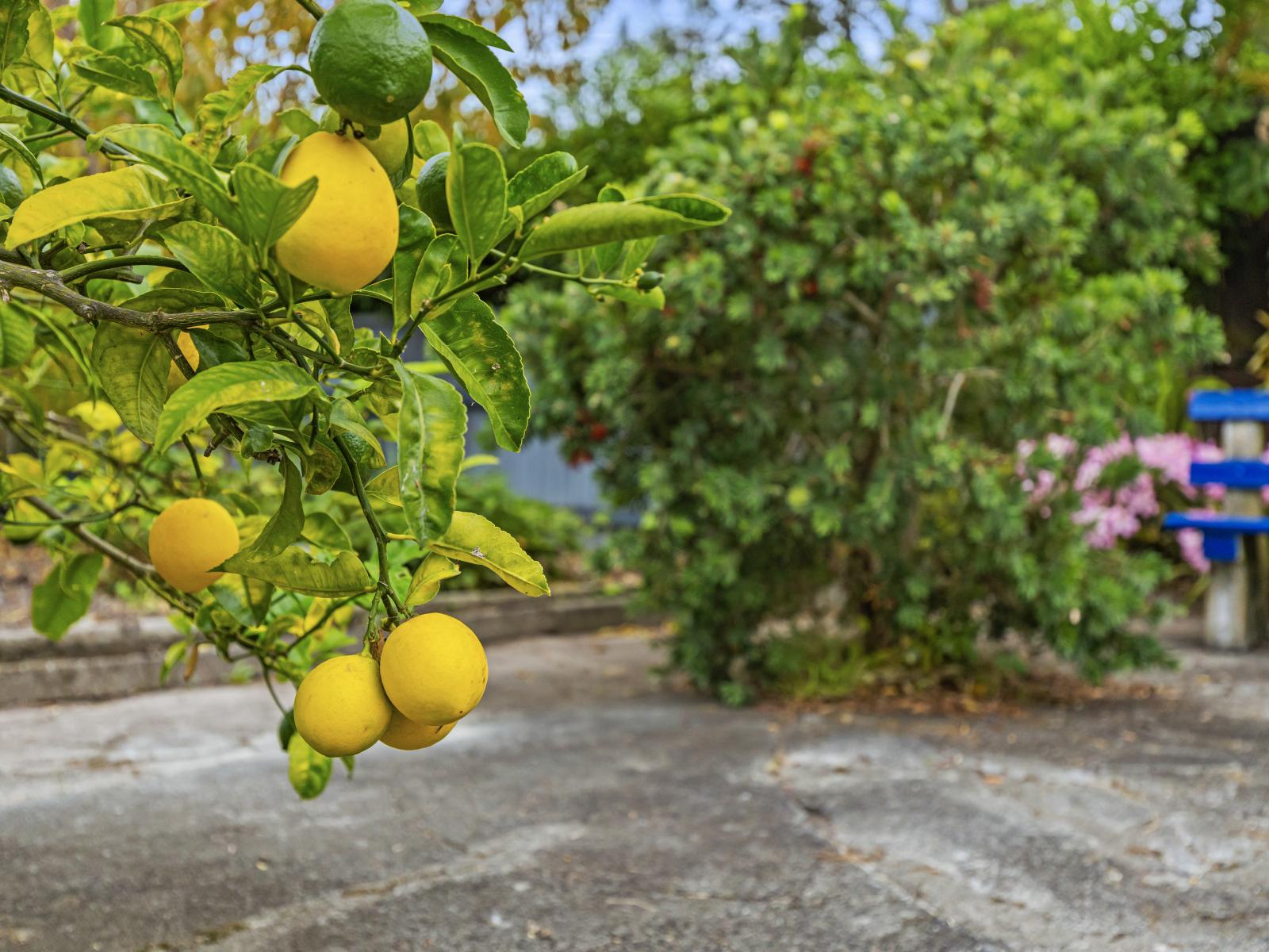 8 Raine Street, Whanganui East