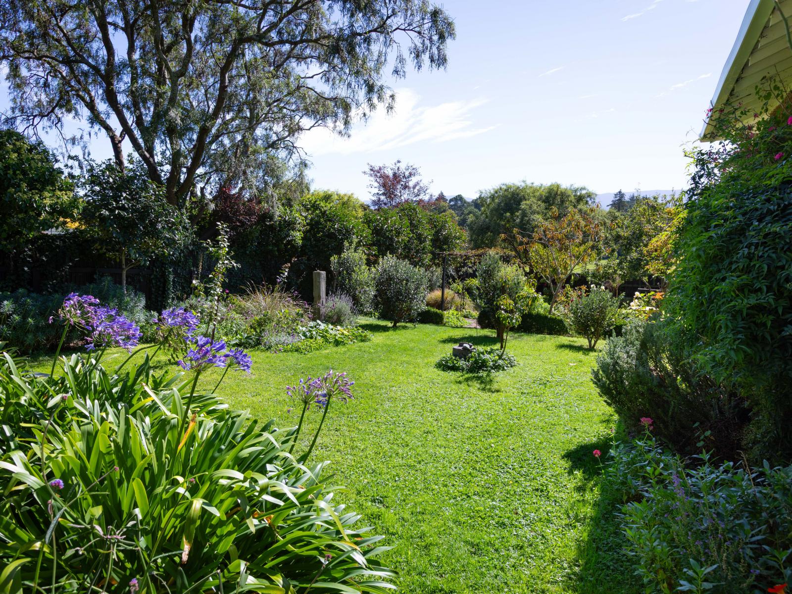 7 Ranfurly Street, Dannevirke