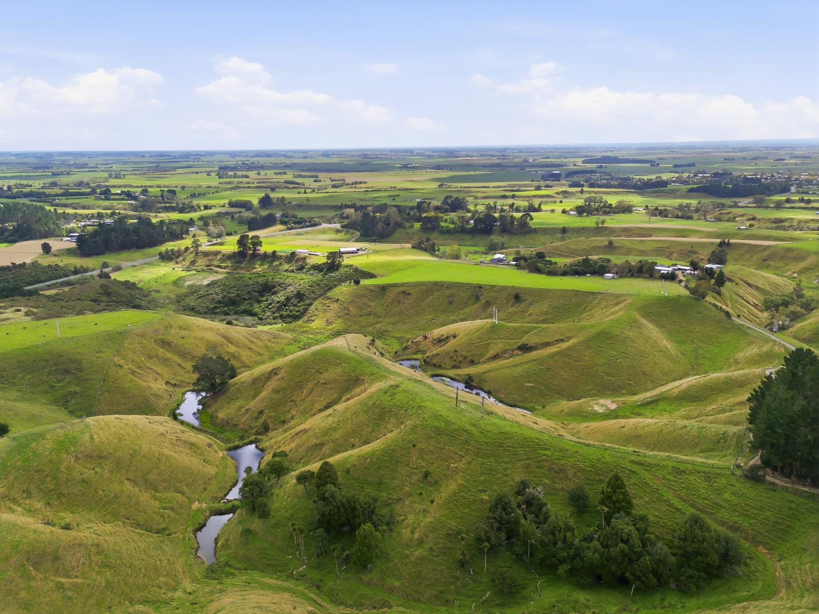 100 Heights Road , Shannon