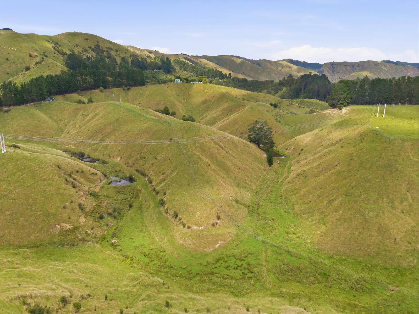 100 Heights Road , Shannon