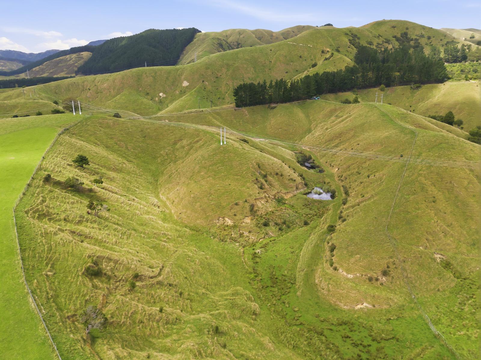 100 Heights Road , Shannon