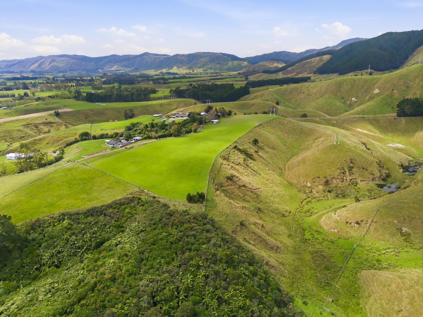 100 Heights Road , Shannon