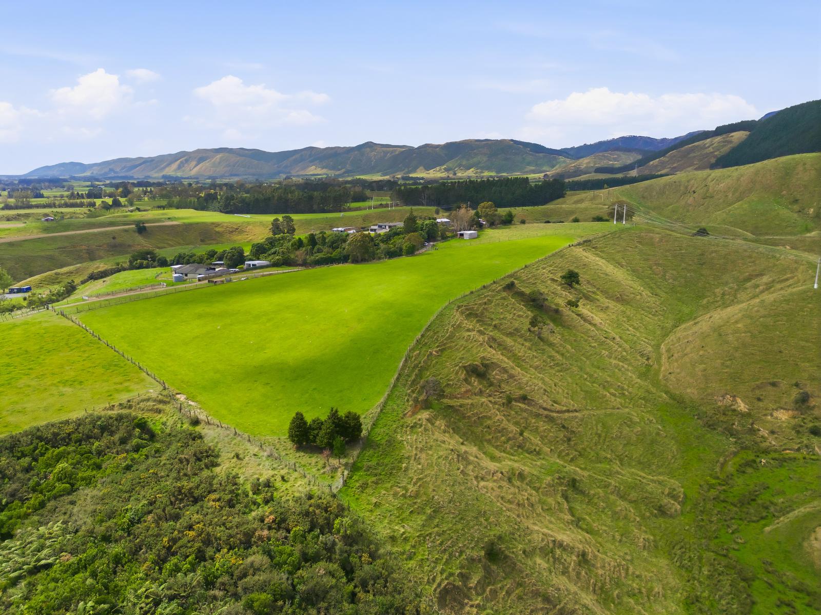 100 Heights Road , Shannon