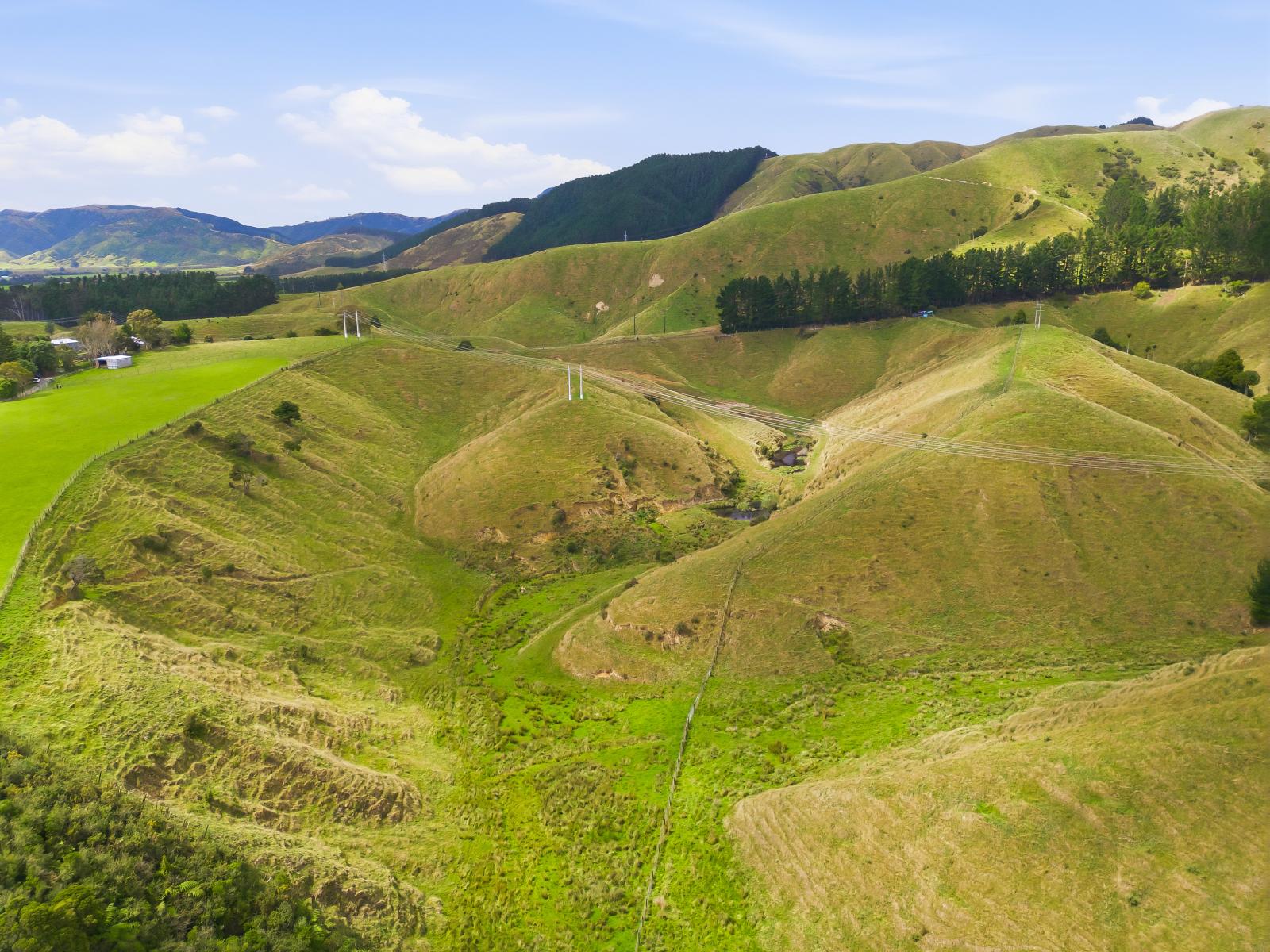 100 Heights Road , Shannon