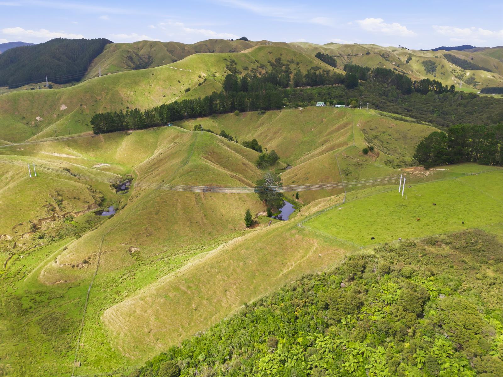 100 Heights Road , Shannon