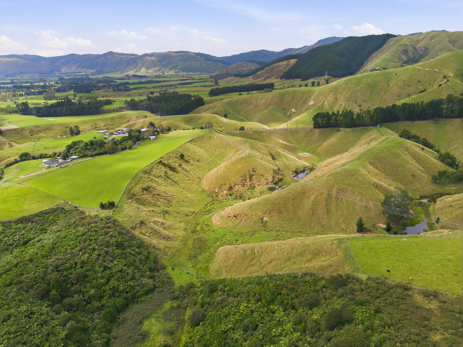 100 Heights Road , Shannon