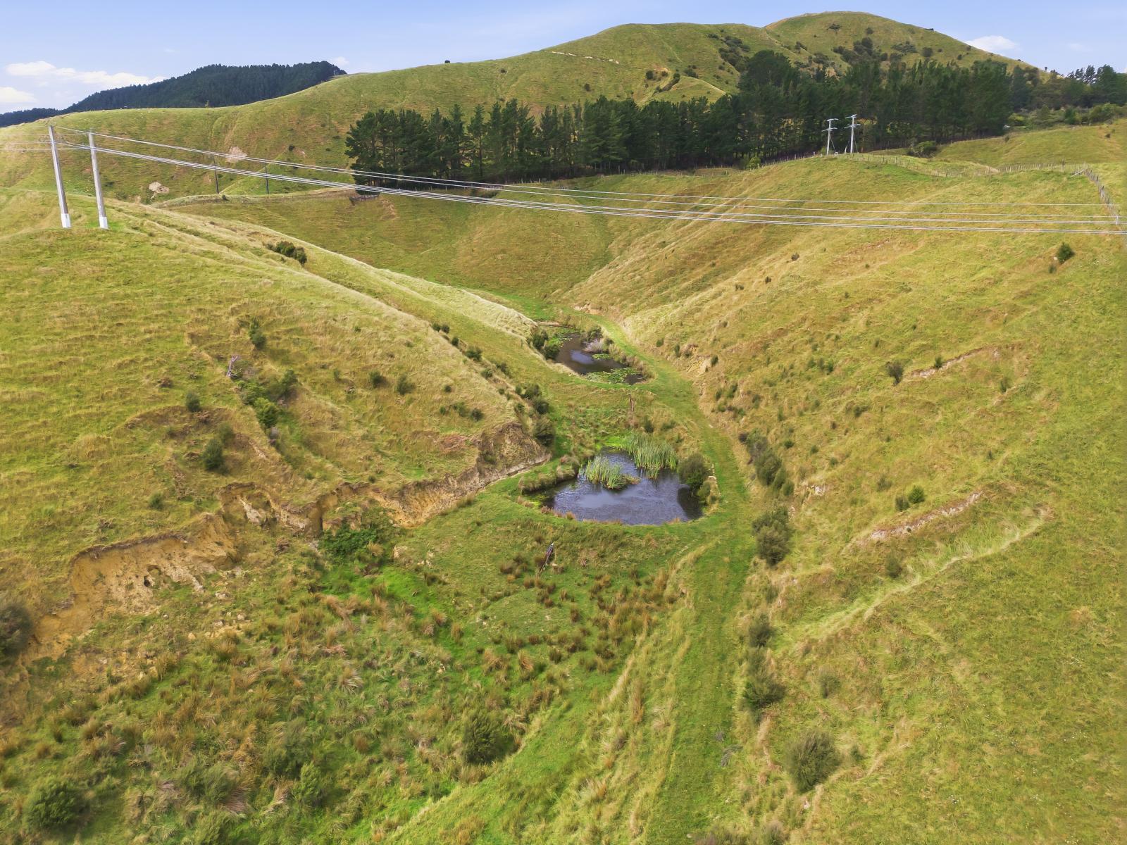 100 Heights Road , Shannon