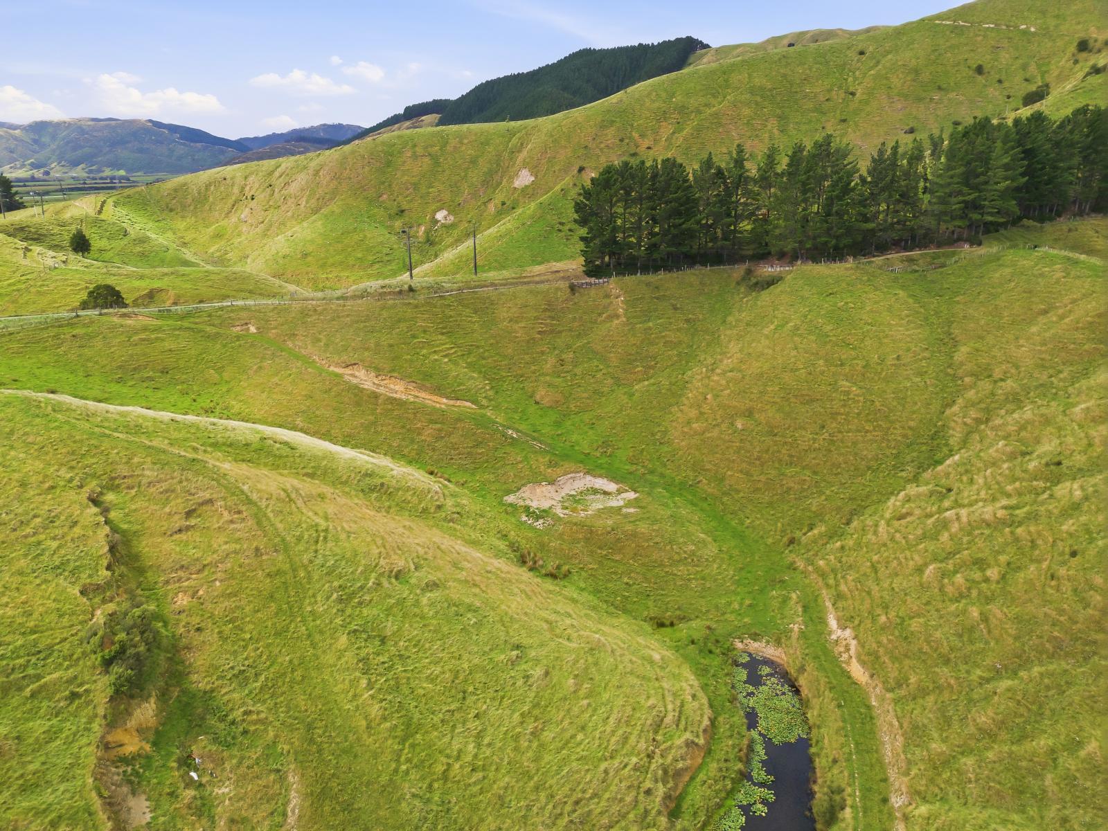 100 Heights Road , Shannon